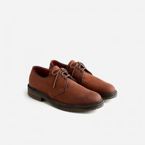 Zapatos de Vestir J.Crew Alden® for J.Crew Dutton bluchers nubuck Hombre Tobacco Oiled España | DQBXWA843